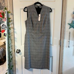 ANN TAYLOR DRESS